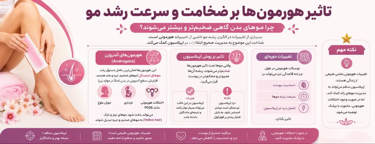 تاثیر هورمون‌ها بر ضخامت و سرعت رشد مو